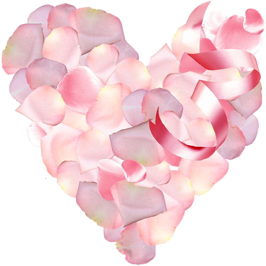 Heart Shaped Rose Petals P N G PNG Image