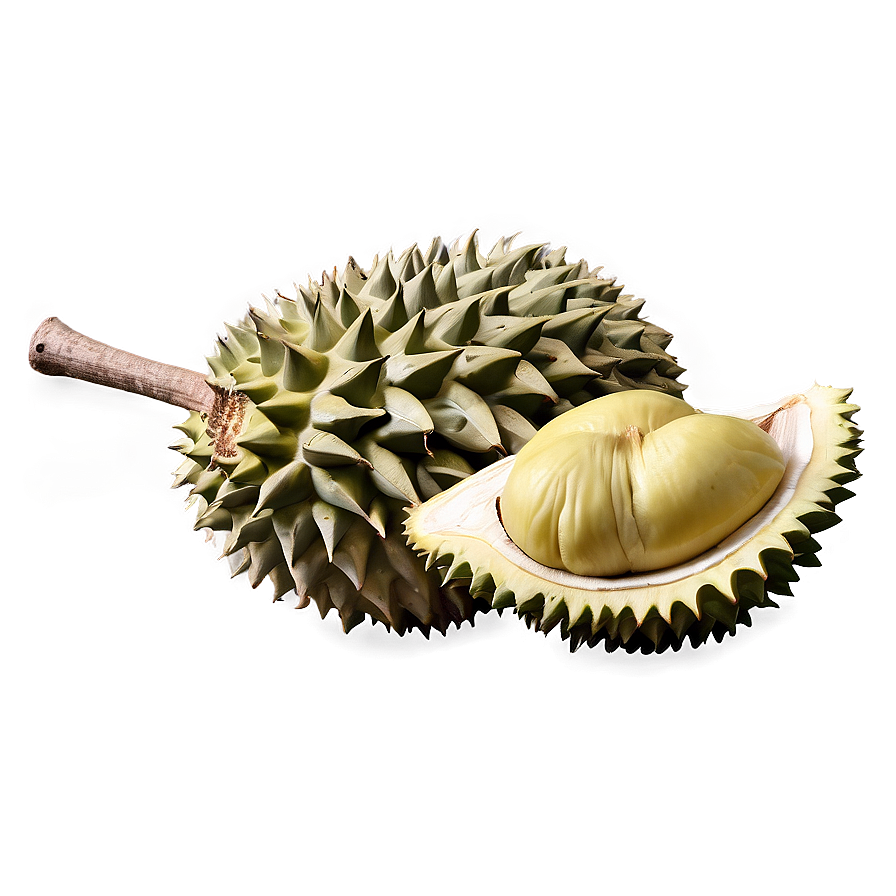 Hearty Durian Png 49 PNG Image