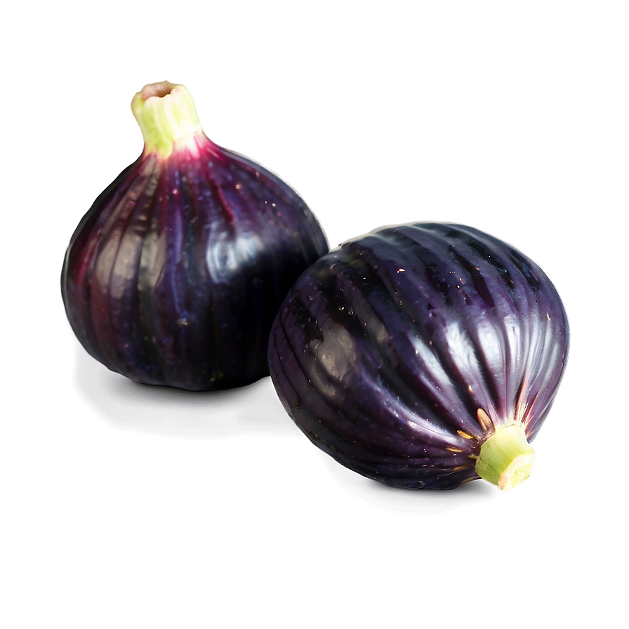 Hearty Fig Png Tia97 PNG Image