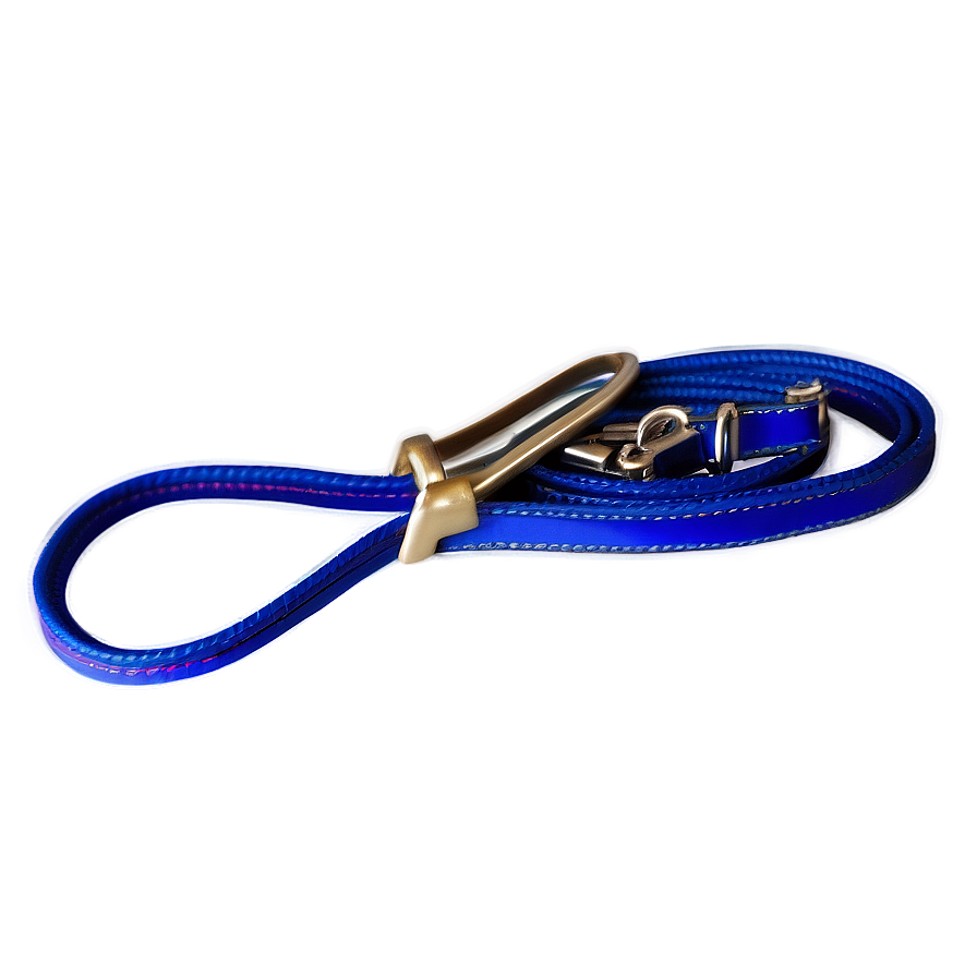 Heavy Duty Dog Leash Png Vey PNG Image