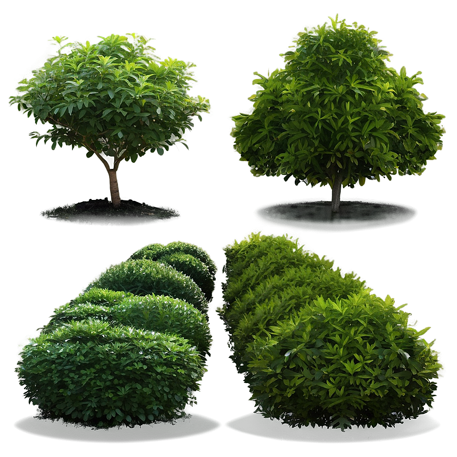 Hedge Shrubs Png 51 PNG Image