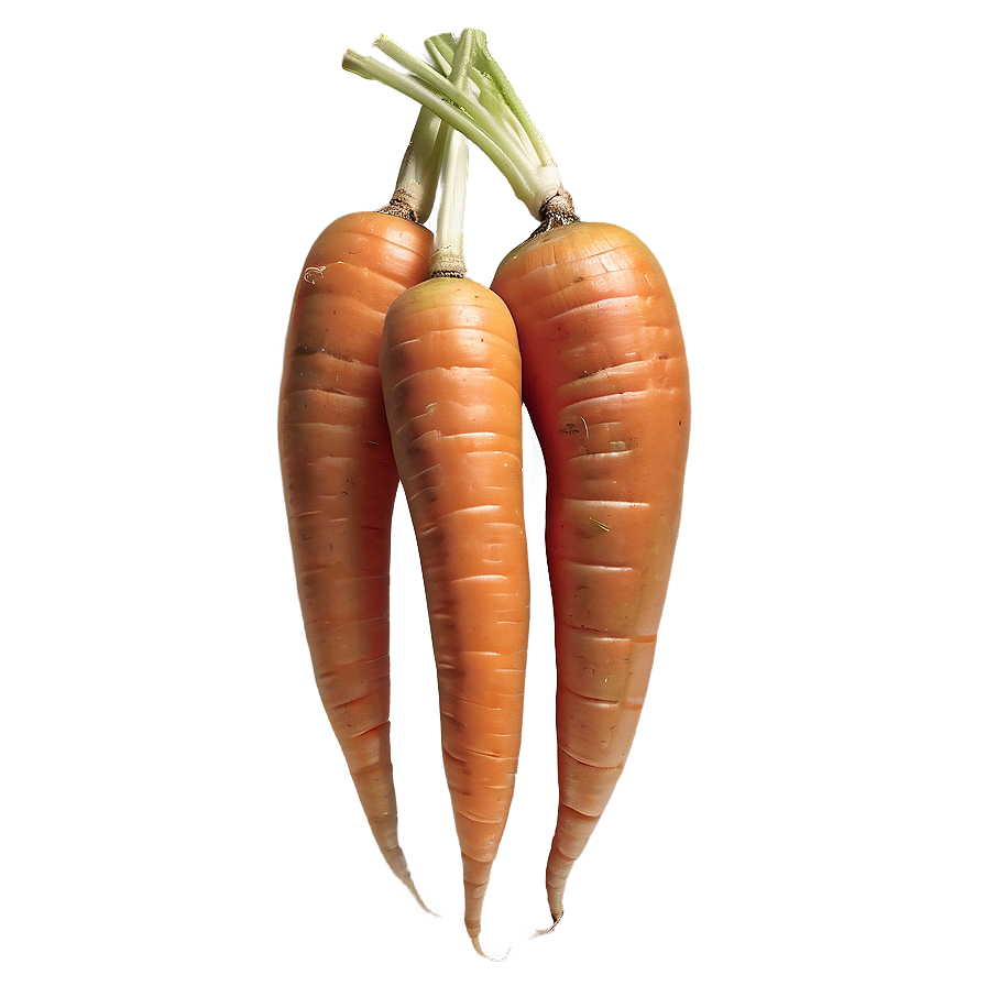 Heirloom Carrot Png Krg PNG Image