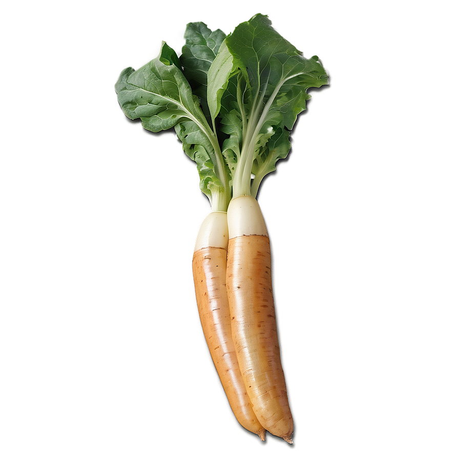 Heirloom Vegetables Png 52 PNG Image