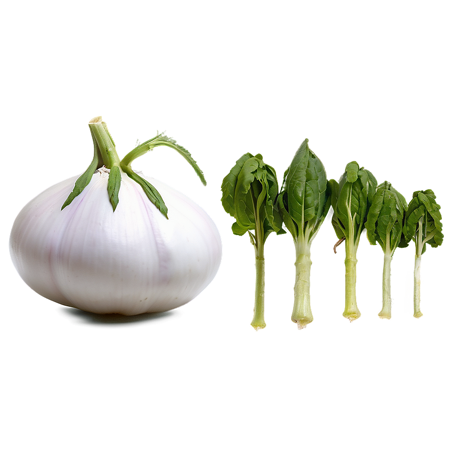 Heirloom Vegetables Png 52 PNG Image