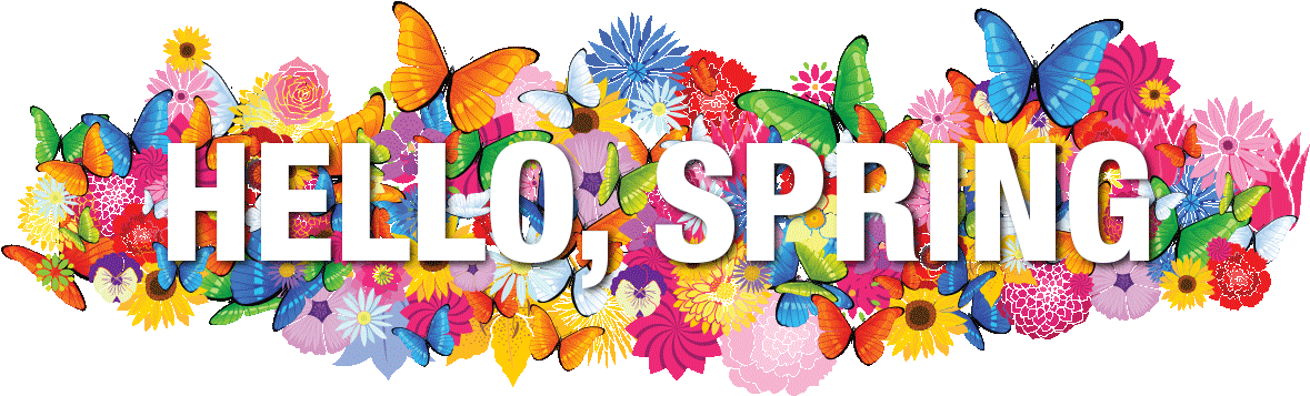 Hello Spring Colorful Floral Butterfly Design PNG Image