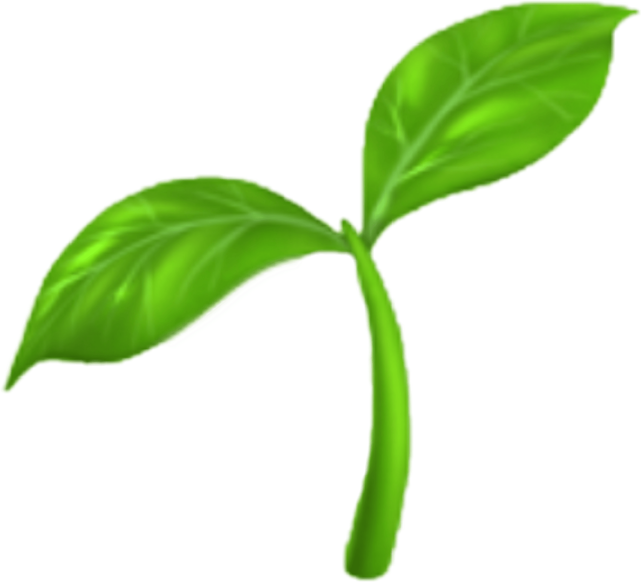 Herb_ Emoji_i Phone PNG Image