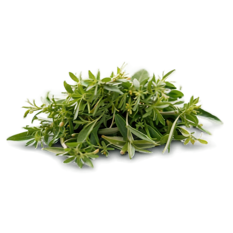 Herb Infusion Png 14 PNG Image