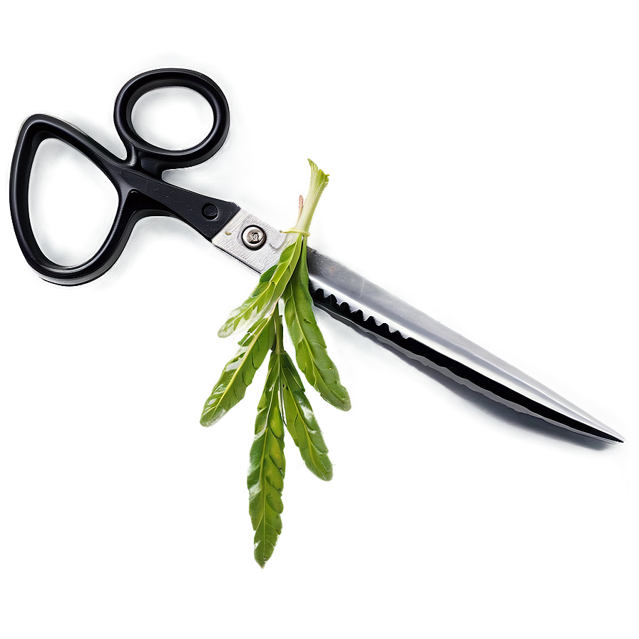 Herb Scissors Png 06292024 PNG Image