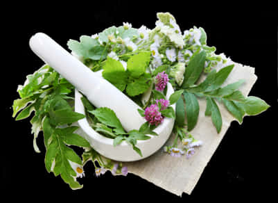 Herbal Medicine Preparation Mortarand Pestle PNG Image