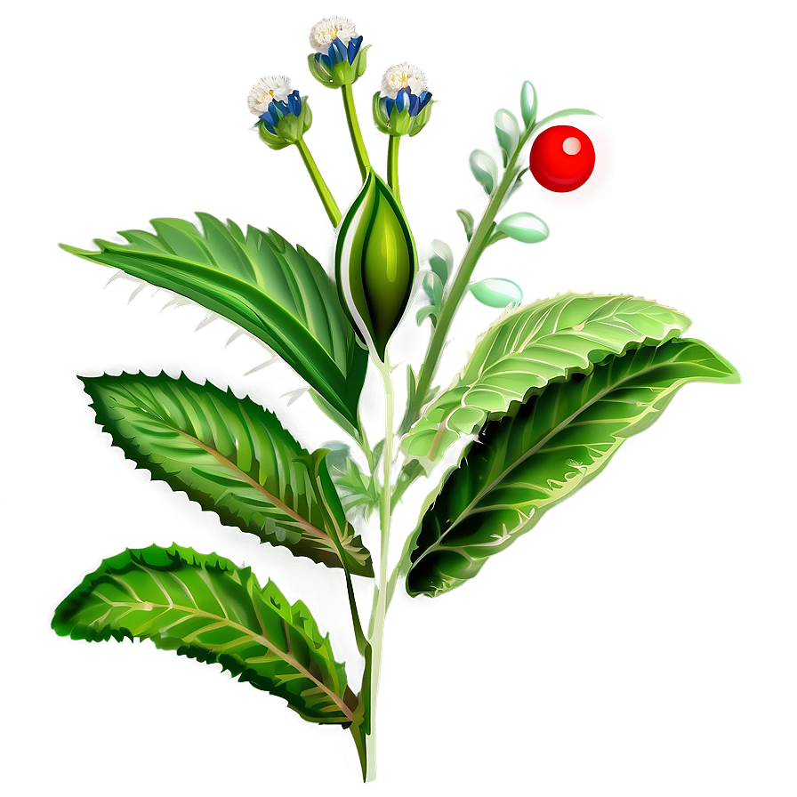 Herbal Plant Clipart Png Swf PNG Image