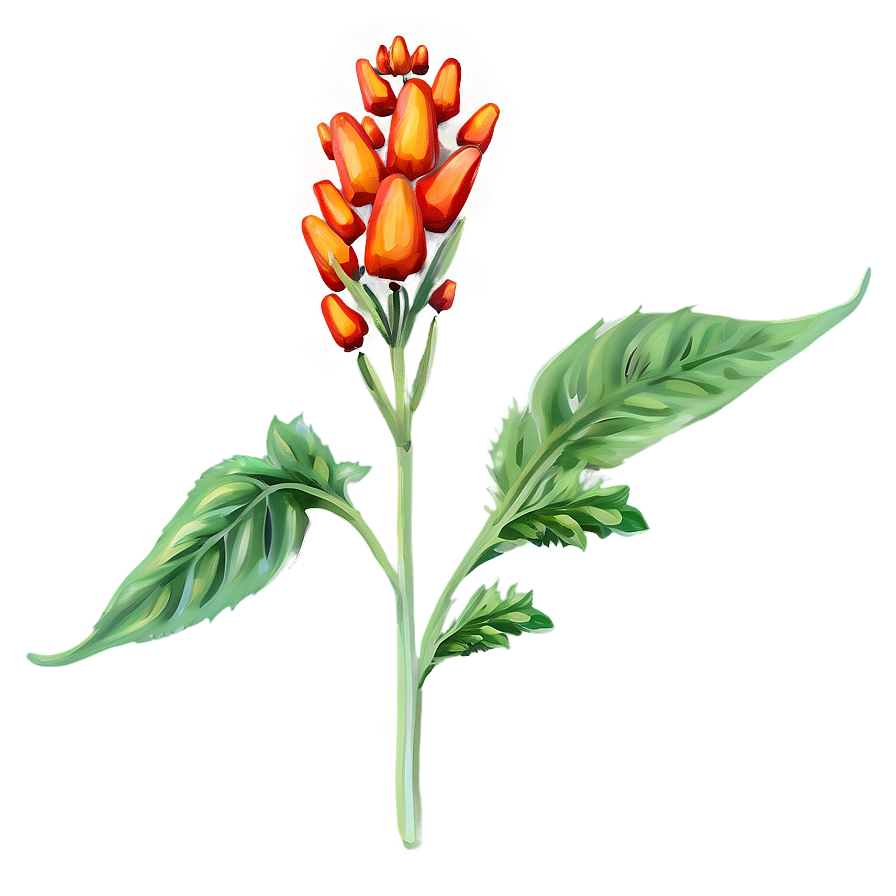 Herbal Plant Png 05032024 PNG Image