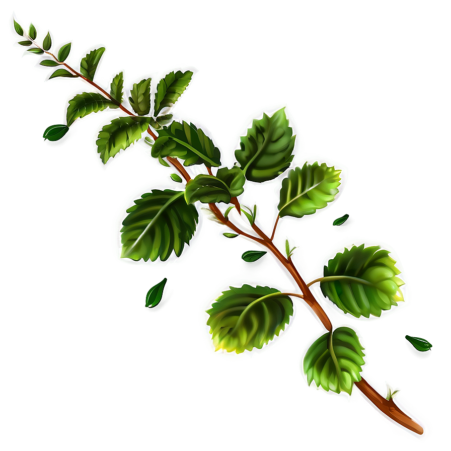 Herbal Plant Png 39 PNG Image