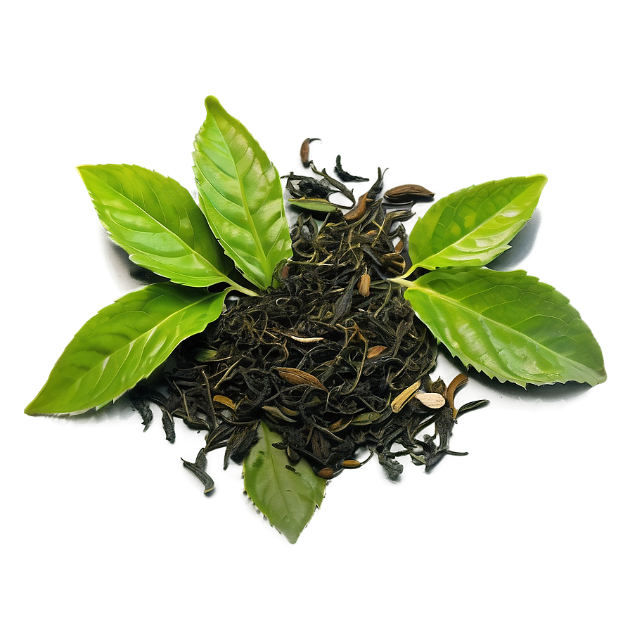 Herbal Tea Leaf Png Xna PNG Image