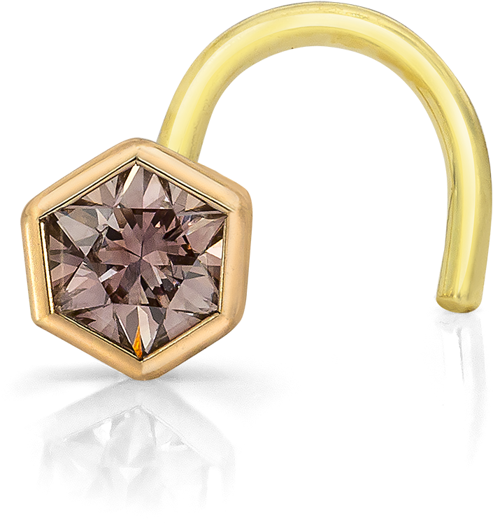 Hexagonal Gemstone Nose Ring PNG Image