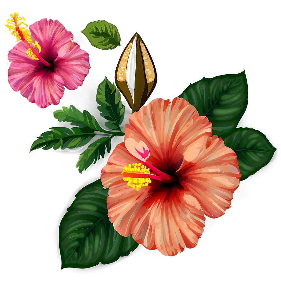 Hibiscus Background Png 92 PNG Image