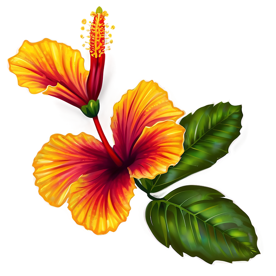 Hibiscus Branch Png 05232024 PNG Image