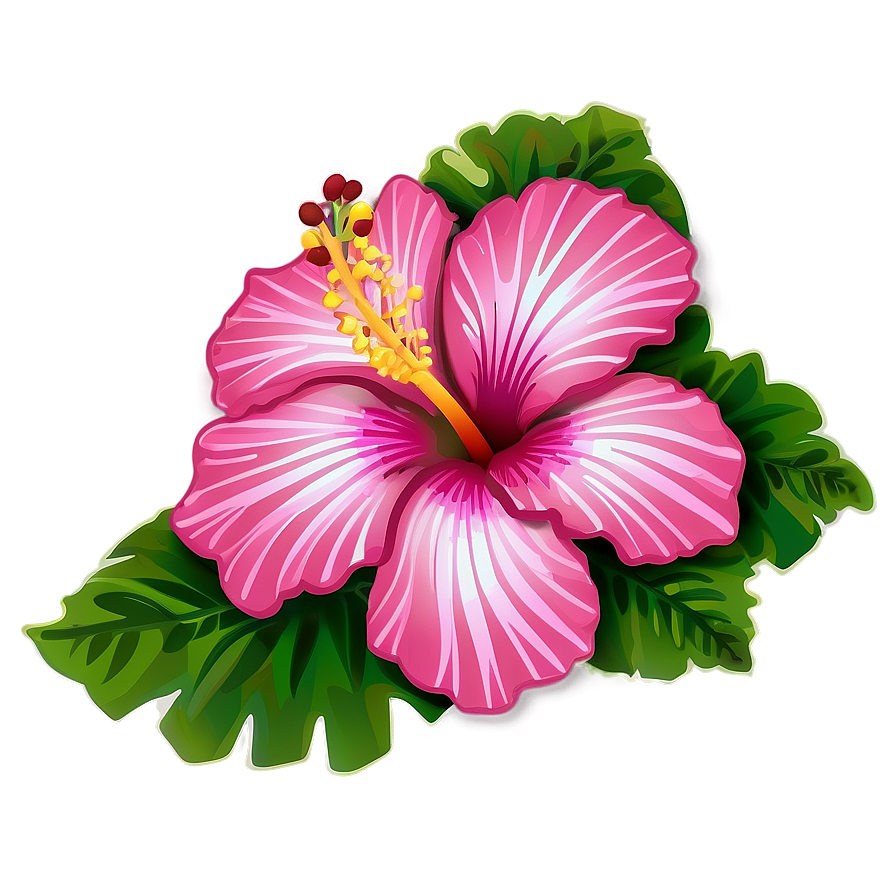 Hibiscus Clipart Png 05232024 PNG Image