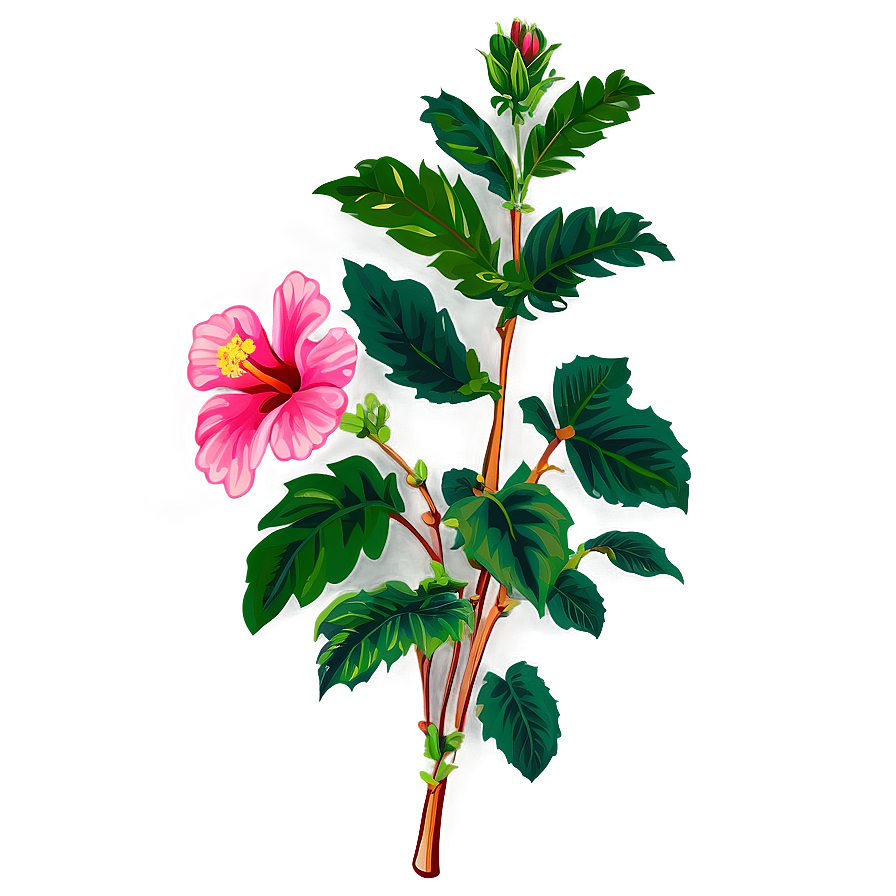 Hibiscus Clipart Png 6 PNG Image