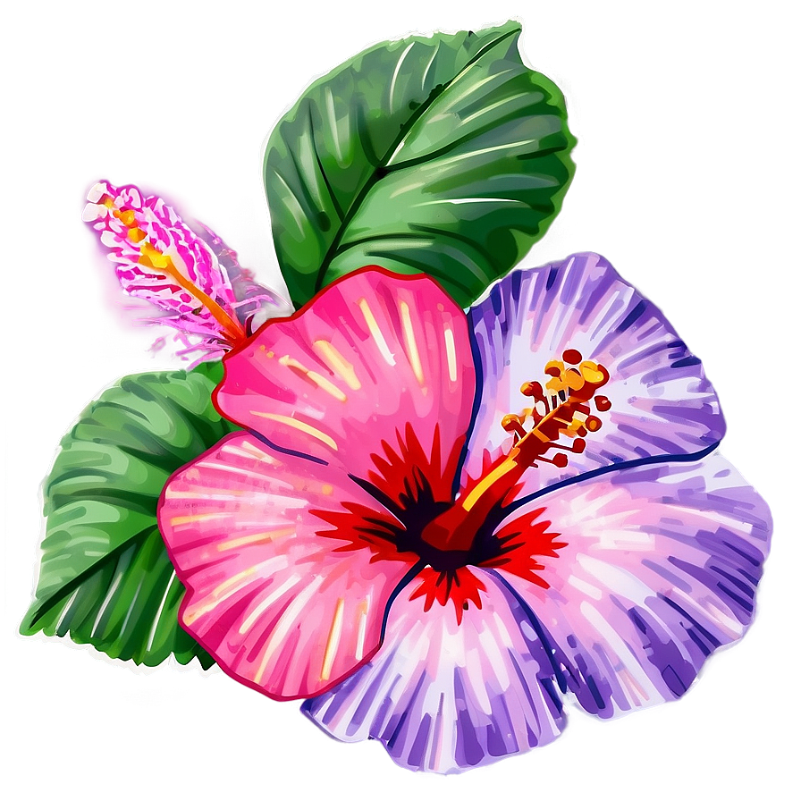 Hibiscus Design Png 32 PNG Image