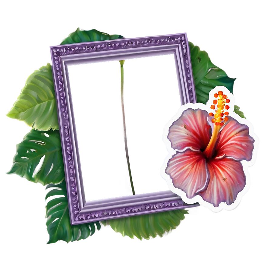 Hibiscus Frame Png Mtd44 PNG Image