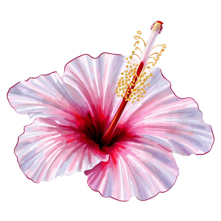 Hibiscus Illustration Png 77 PNG Image