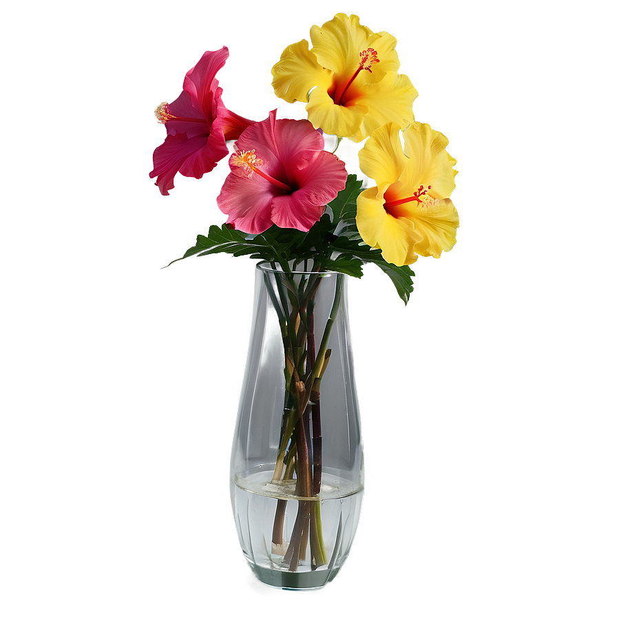 Hibiscus In Vase Png Saq89 PNG Image