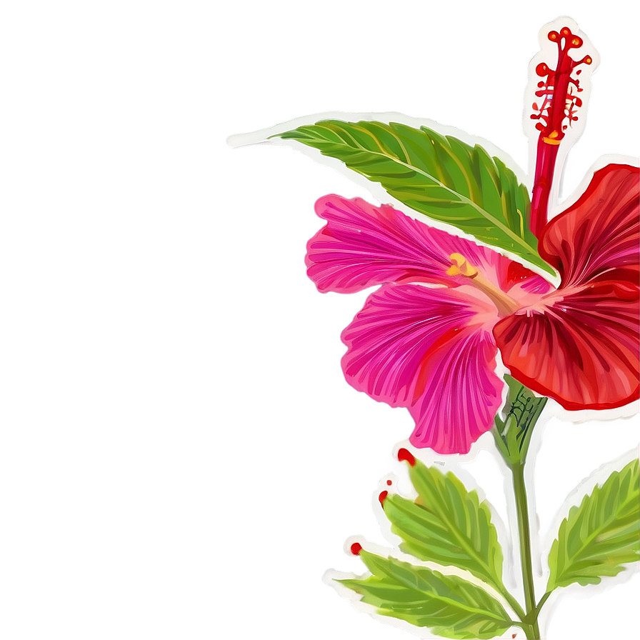 Hibiscus Infusion Png Rha65 PNG Image