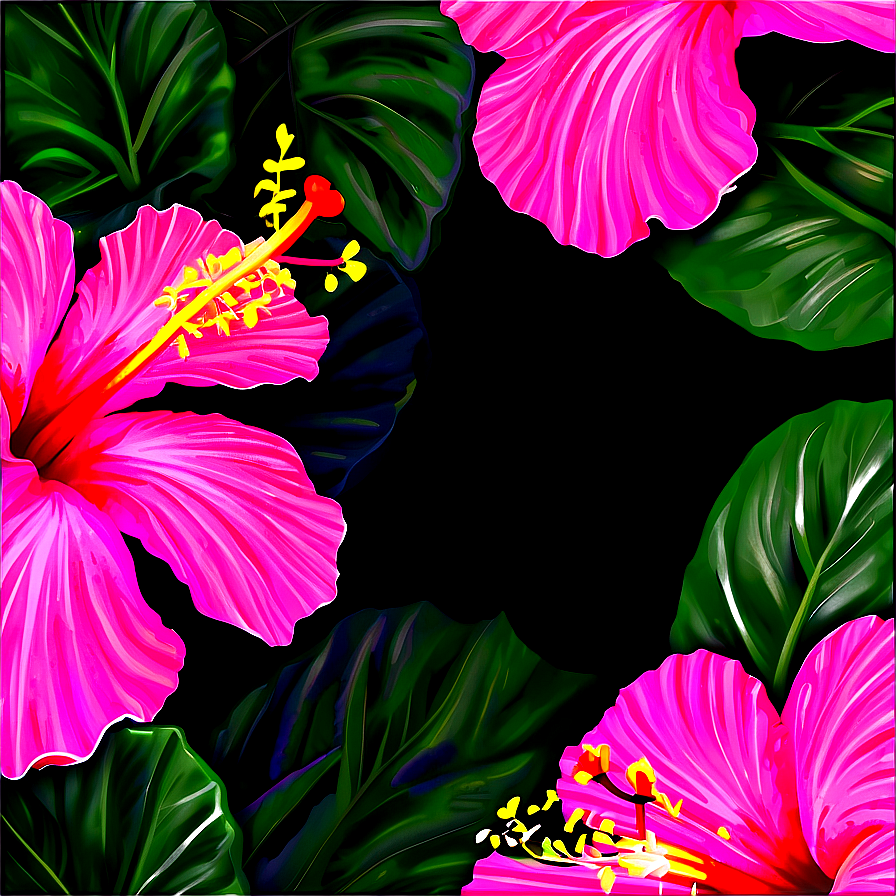 Hibiscus Sunset Glow Png 97 PNG Image