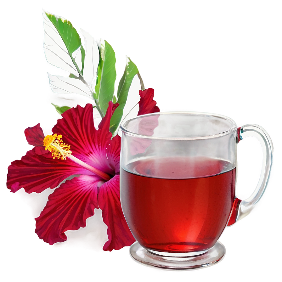 Hibiscus Tea Png 21 PNG Image