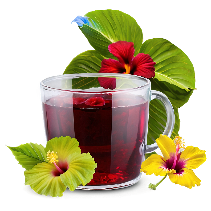 Hibiscus Tea Png Hpx6 PNG Image