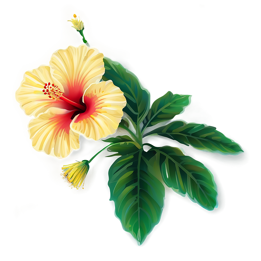 Hibiscus Vector Png Ffn53 PNG Image