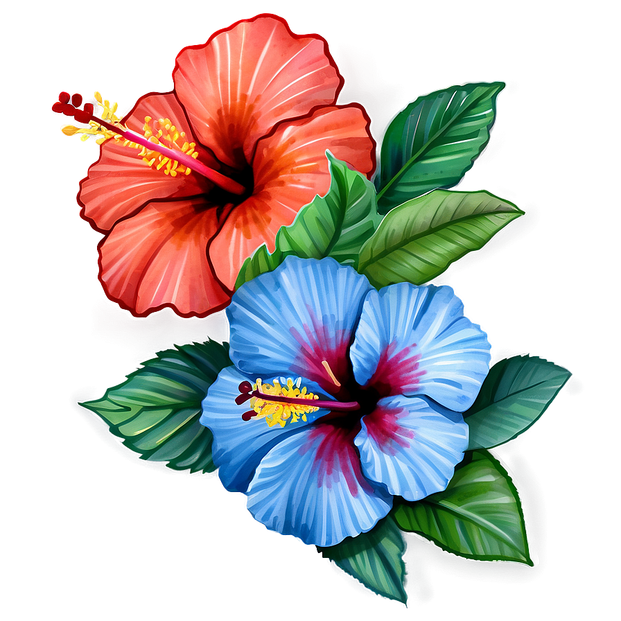 Hibiscus Watercolor Png 38 PNG Image