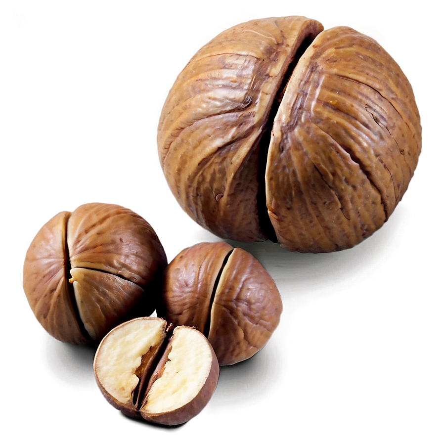 Hickory Nut Png Vwt84 PNG Image