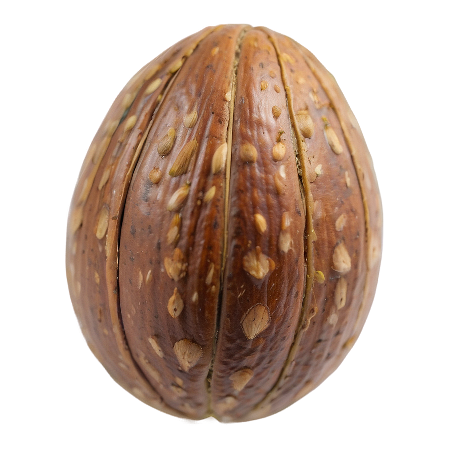 Hickory Nut Png Wiq67 PNG Image