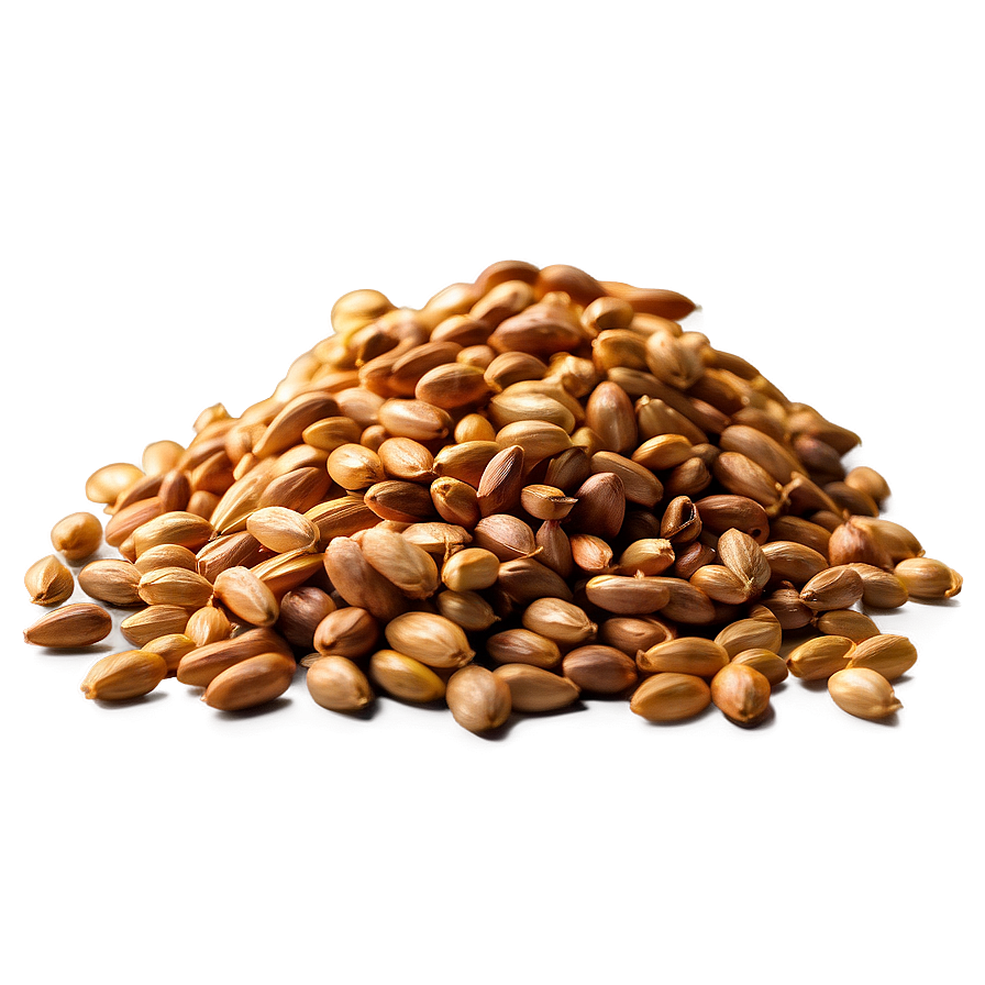 High-quality Wheat Grains Png 05252024 PNG Image