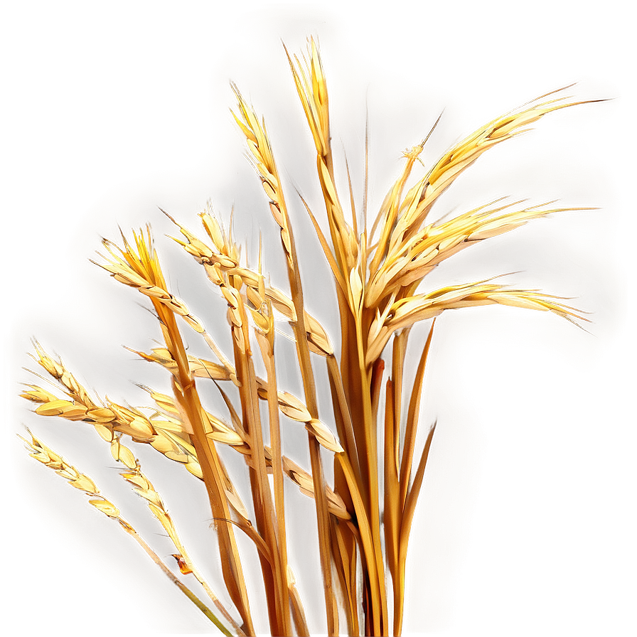 High Resolution Dry Grass Png 49 PNG Image