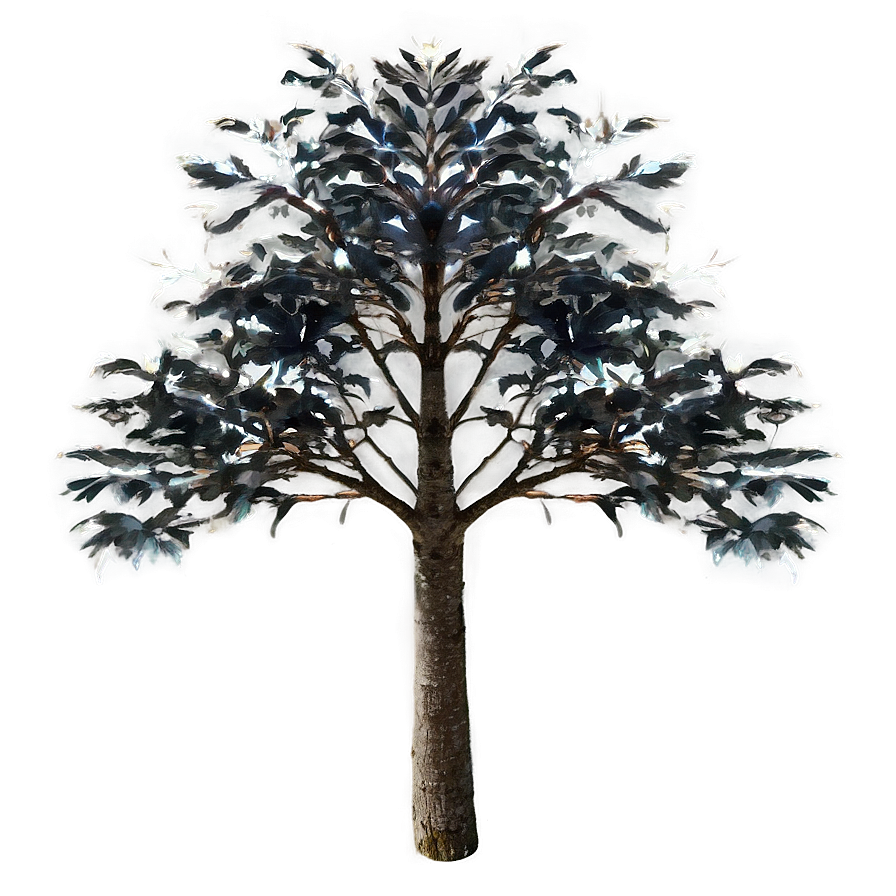 High Tree Crown View Png 06122024 PNG Image