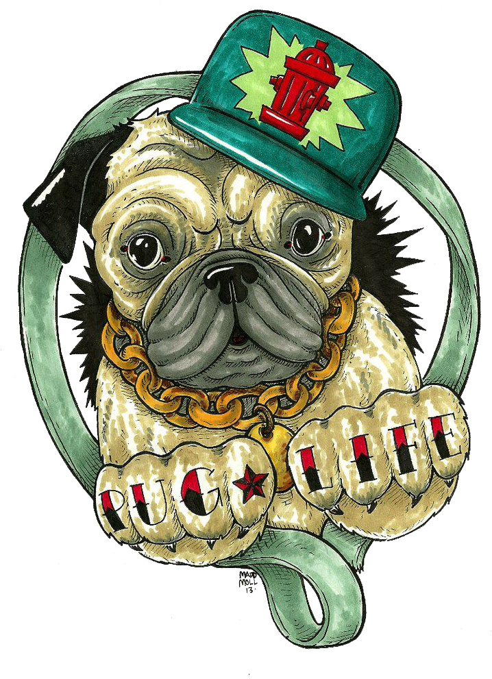 Hip Hop Pug Illustration PNG Image