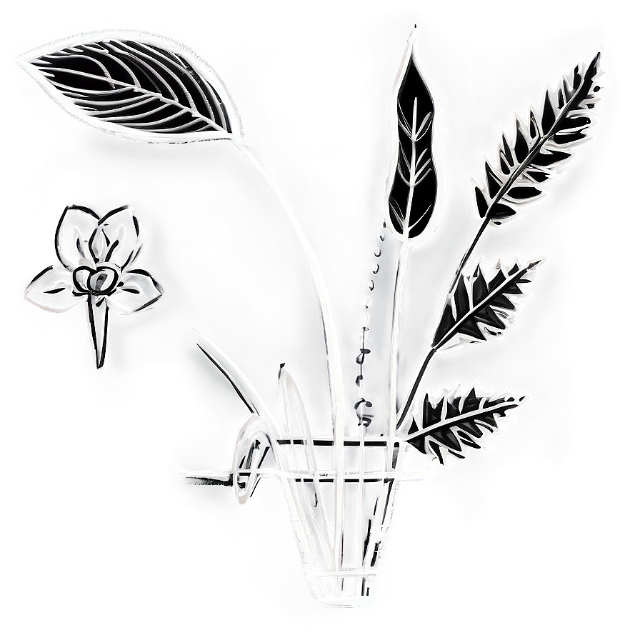 Historical Flower Sketch Png Syc2 PNG Image