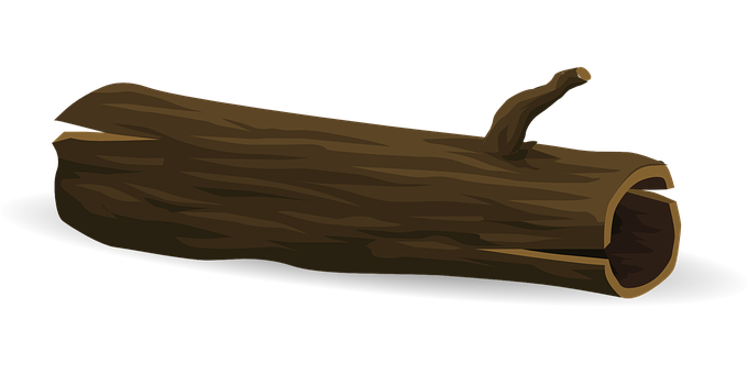 Hollow_ Log_ Illustration PNG Image