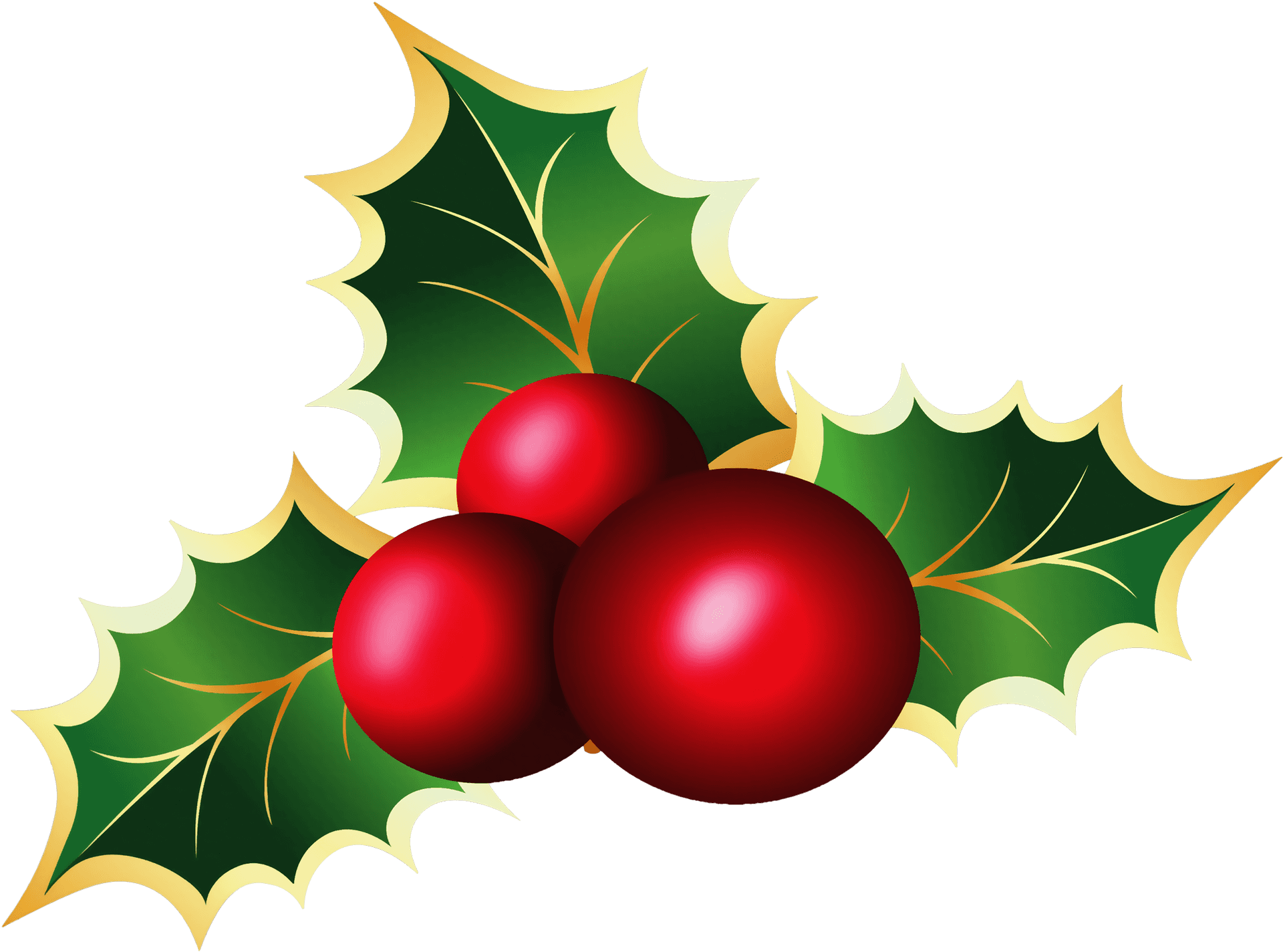 Holly Berries Illustration PNG Image