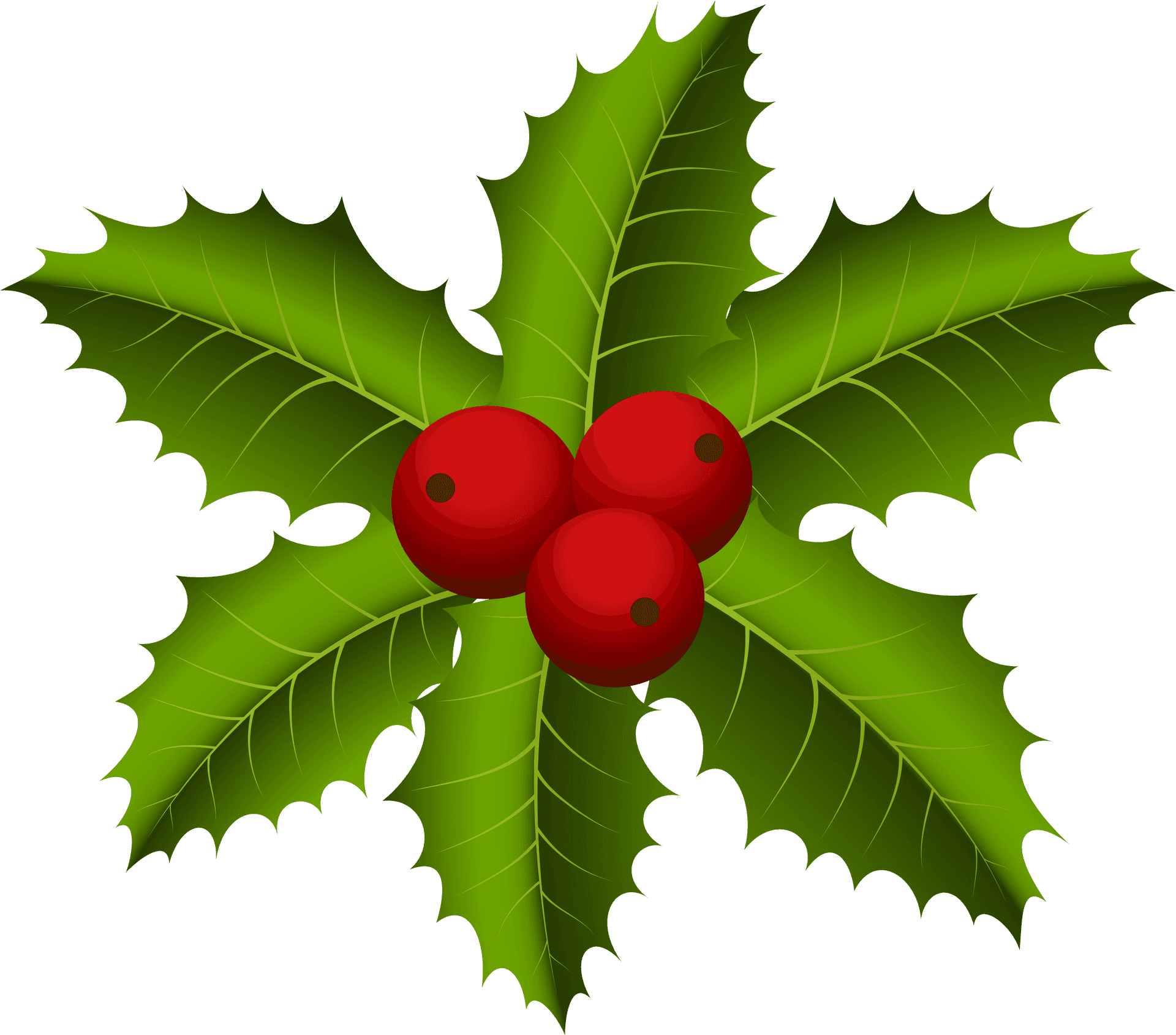 Holly Berries Illustration PNG Image