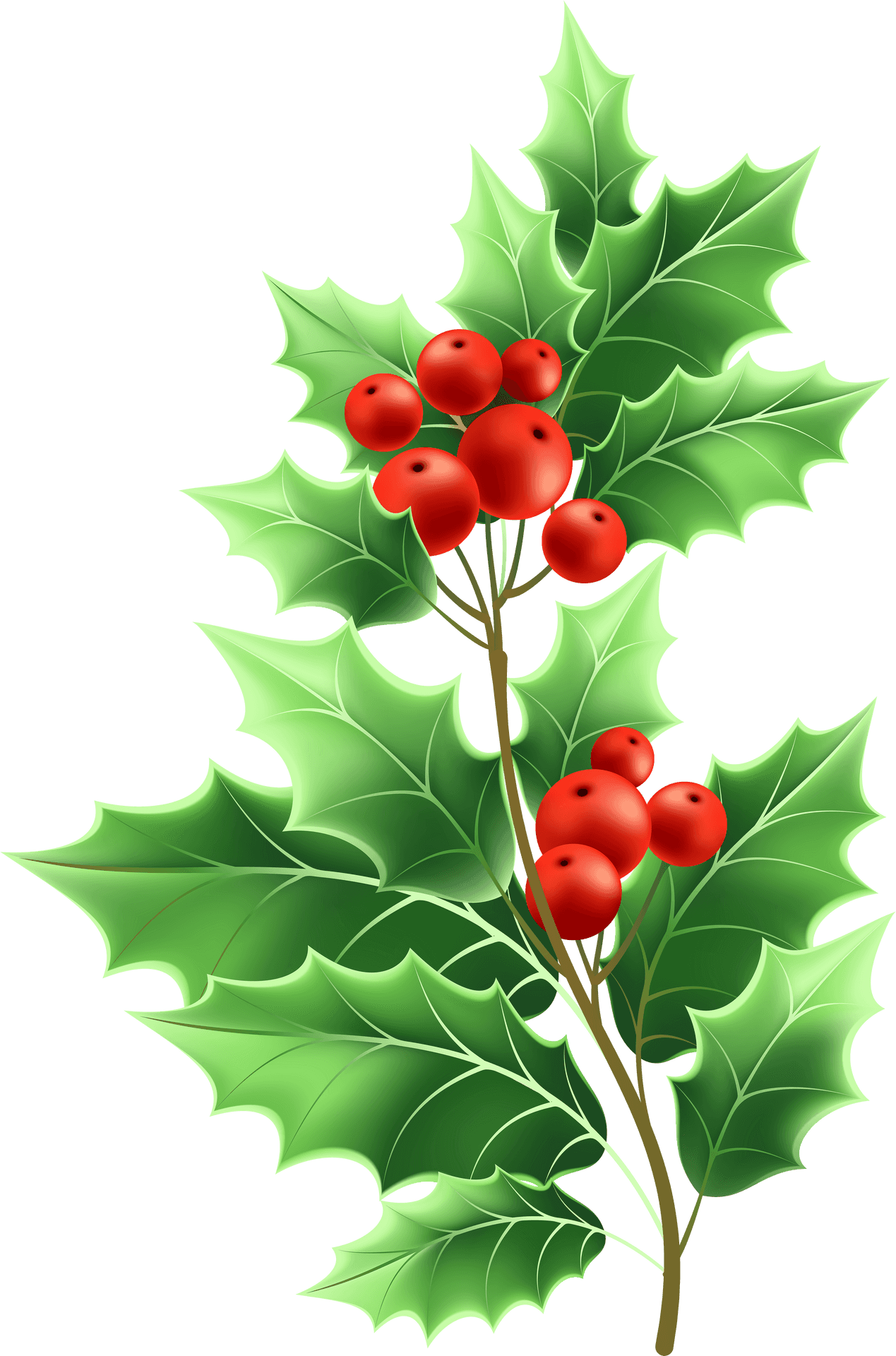 Holly Branch Christmas Decoration PNG Image