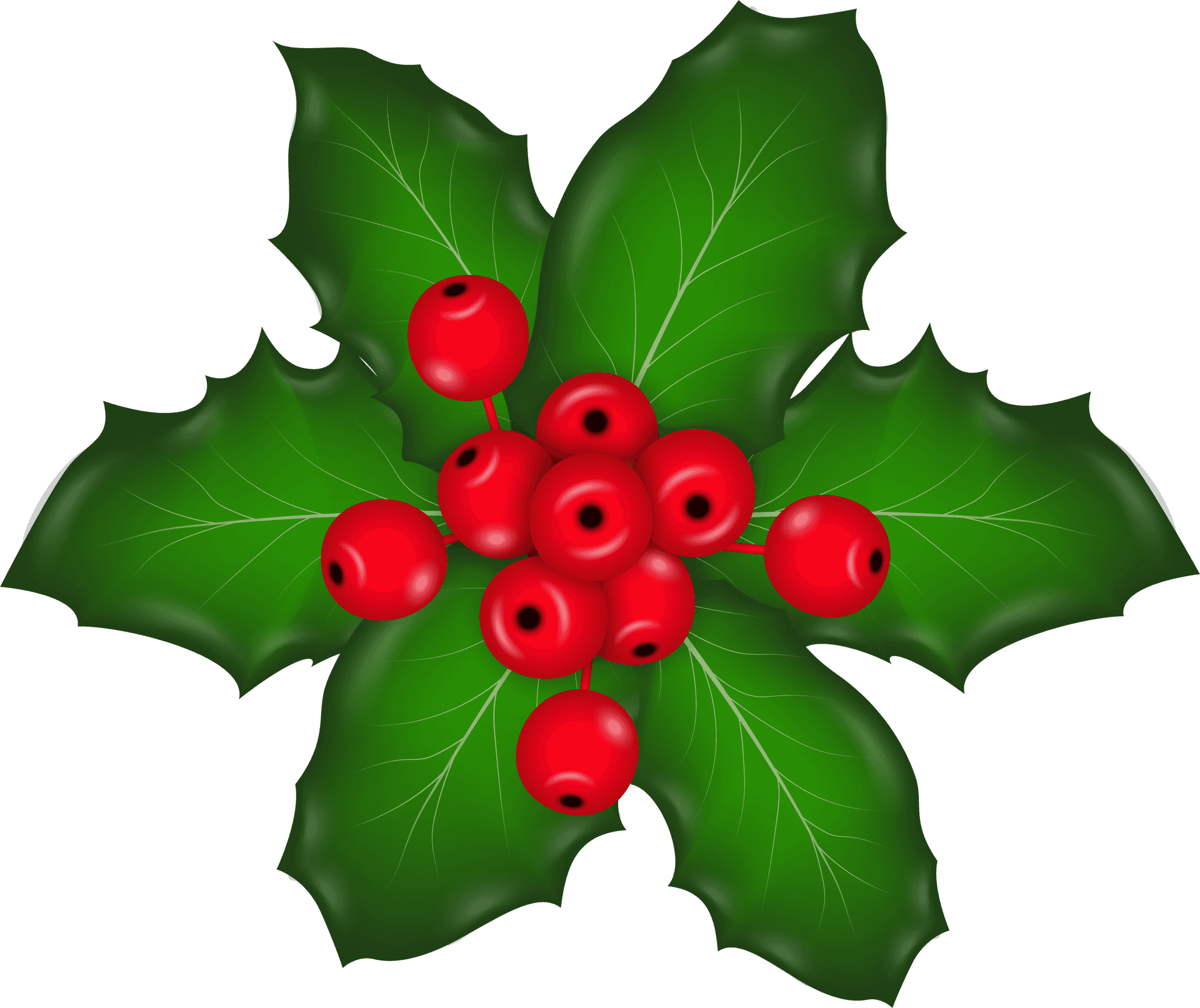 Holly Branch Red Berries.png PNG Image