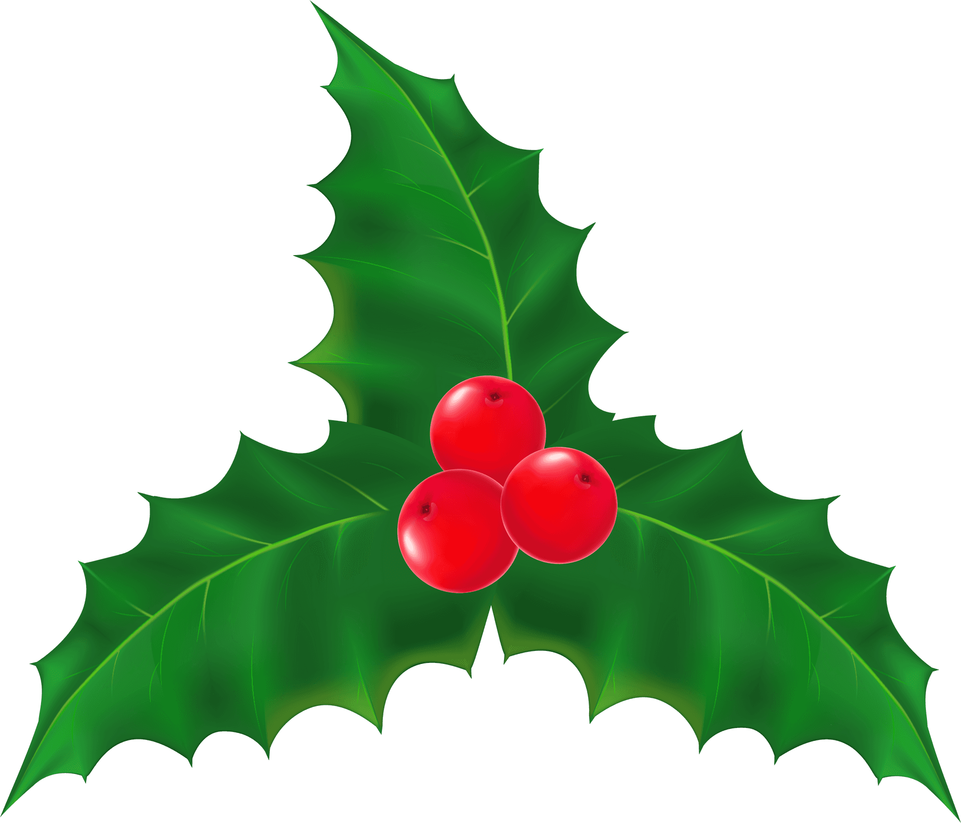 Holly Leavesand Berries PNG Image