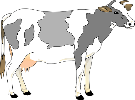 Holstein Friesian Cow Illustration PNG Image