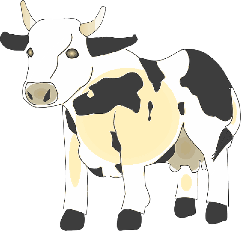 Holstein Friesian Dairy Cow Illustration PNG Image