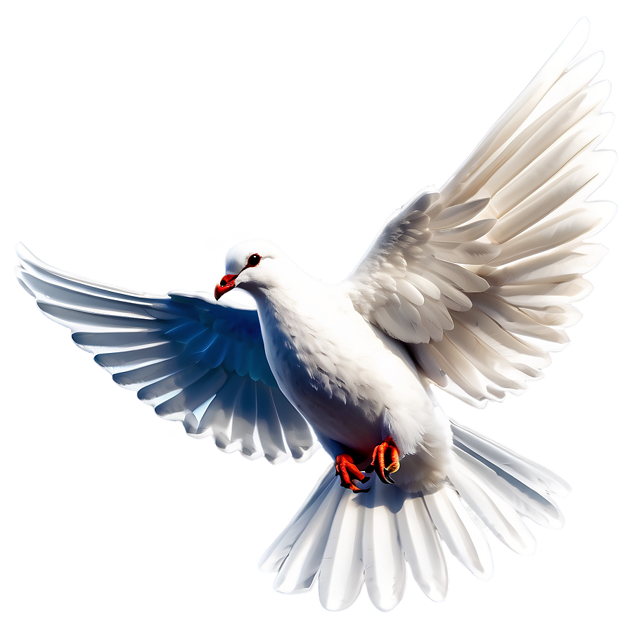 Holy Spirit Dove Png Dnk PNG Image