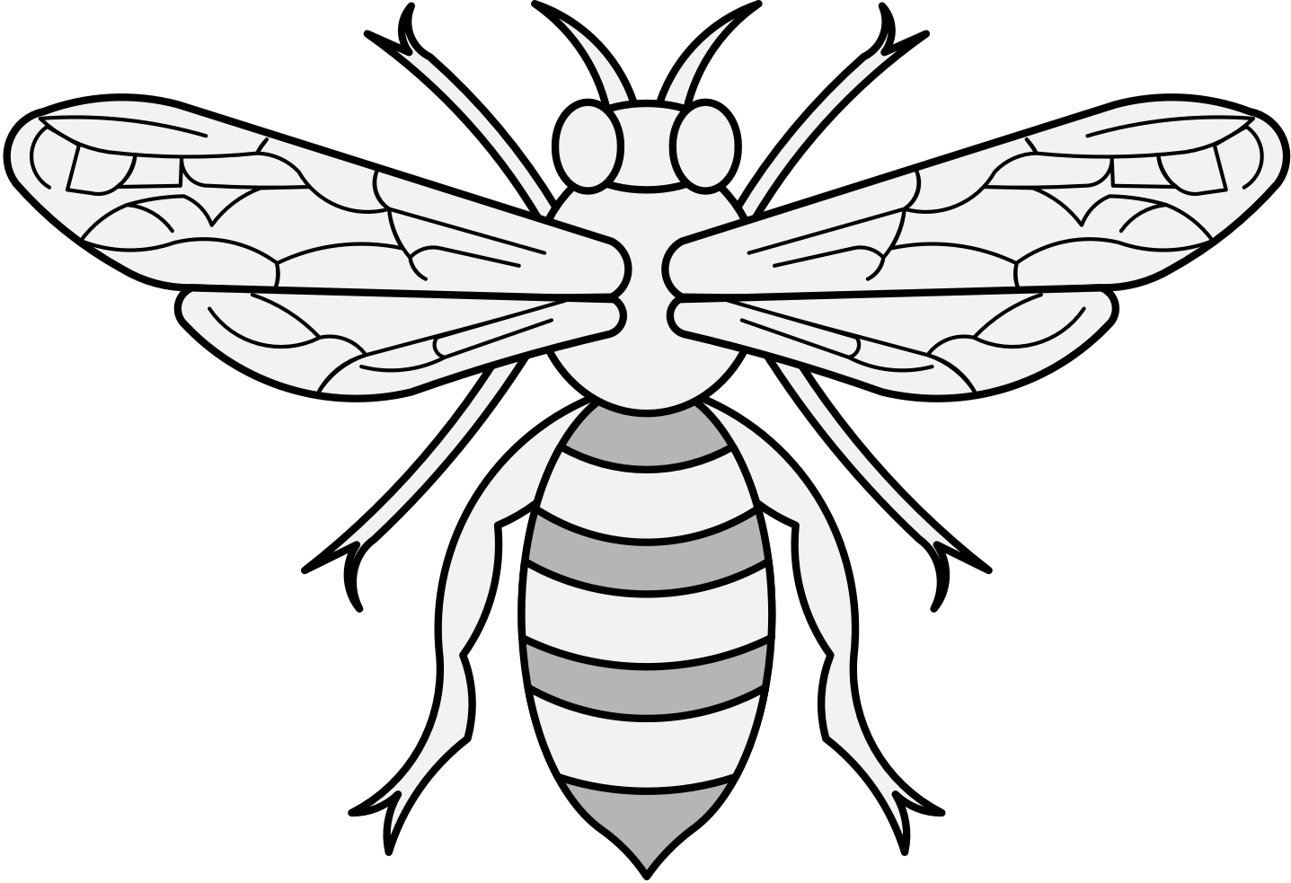 Honey Bee Illustration PNG Image