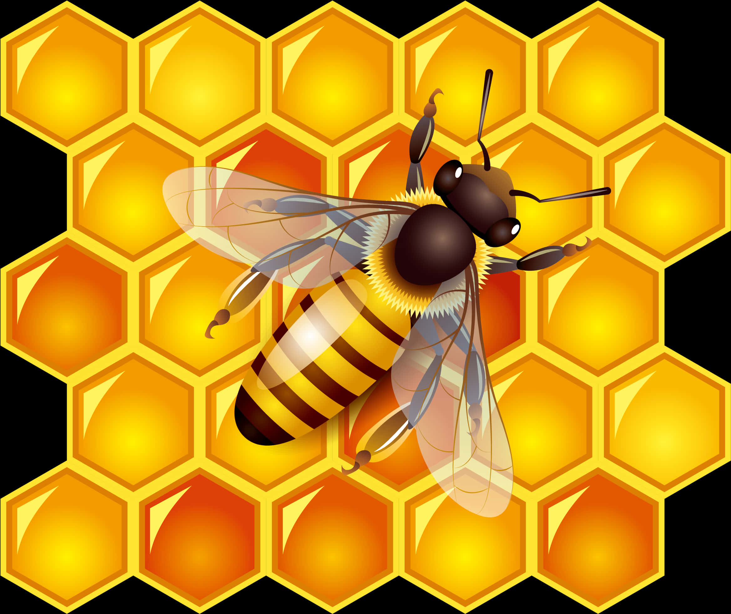 Honeybeeon Hexagon Pattern PNG Image